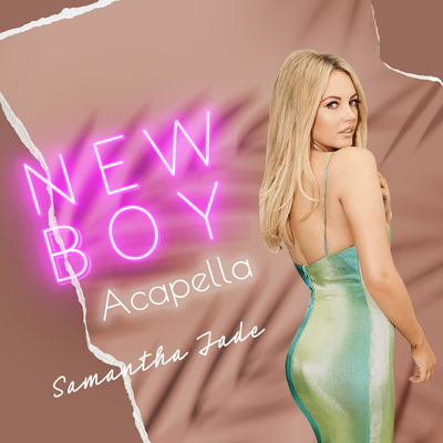 房东的猫《New Boy》鼓谱 - 架子鼓谱