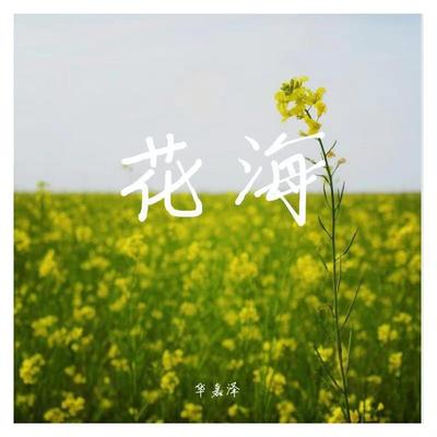 周杰伦《花海》鼓谱 - 架子鼓谱